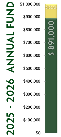 ANNUAL FUND